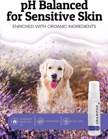 Champú para perros sin agua OEM, champú seco natural para limpieza de perros, champú de baño para mascotas